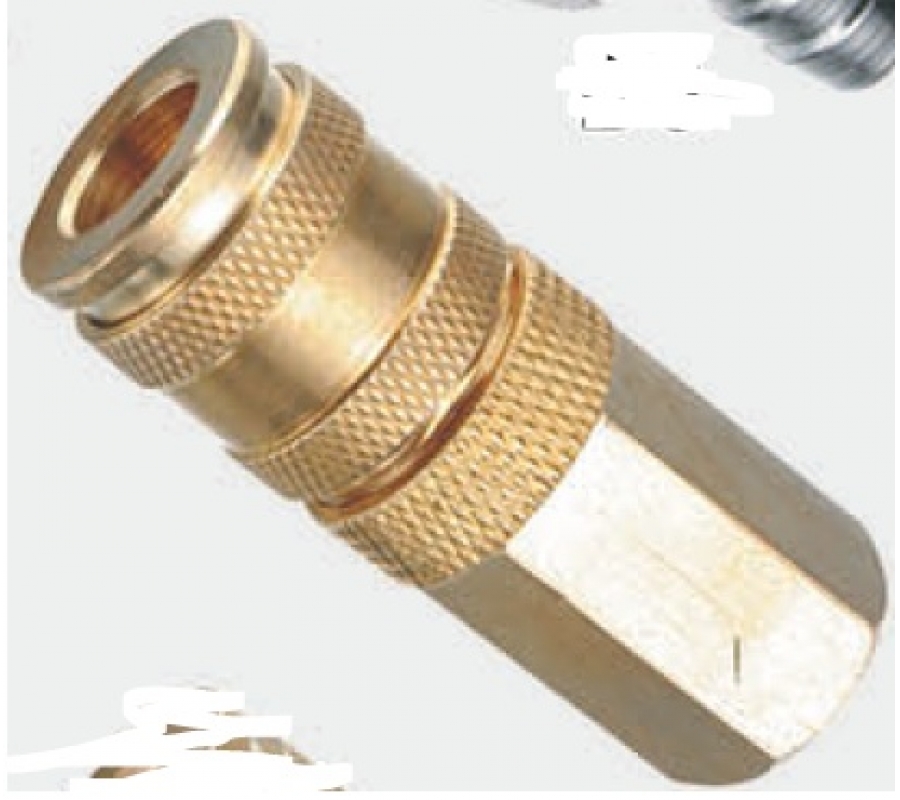 1/4"PT Female Air Coupler (D1-F)