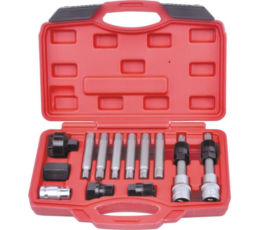 Alternator pulley set 13pcs (WT04D2002)