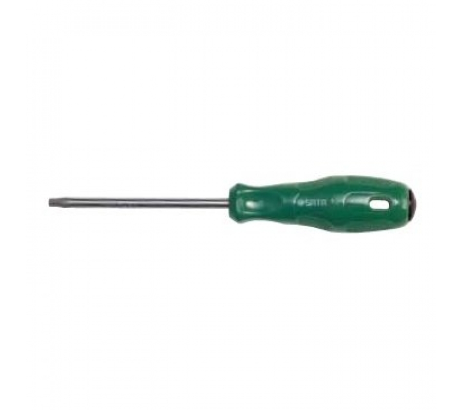 Screwdriver TORX - T10 x 100mm, L=190mm(S61101)