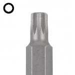 Antgalis | ilgis 75 mm | 10 mm (3/8") storis | Spline (XZN) | M8 (4861)