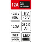 Pakrovėjas akumuliatoriams 12A / 6/12V / 210 Ah | LED (82544)