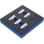Ratų varžtų slapukų rinkinys Tesla | 5 vnt. (74388)